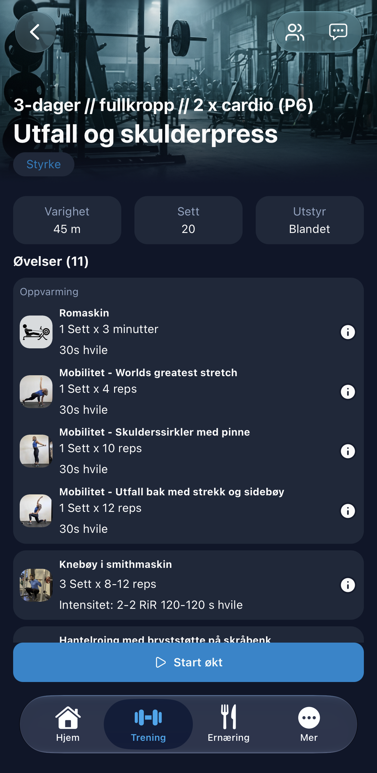 Oversikt over økten